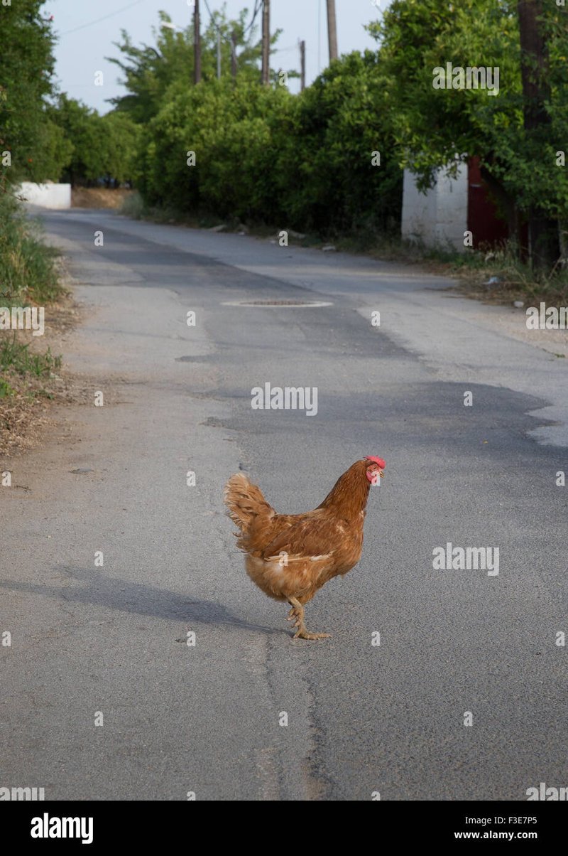 Best chicken road españa in Spain